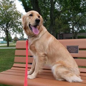 Meet your Posher, Carolyn